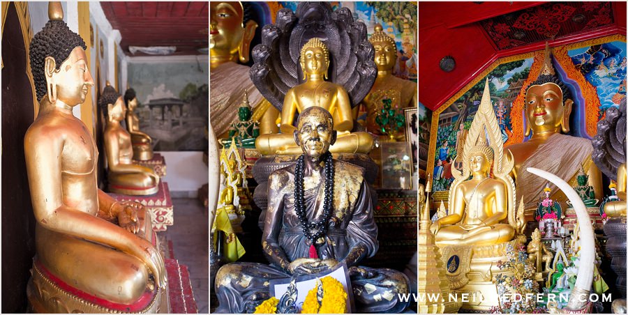 Chiang Mai Thailand Photographs 53