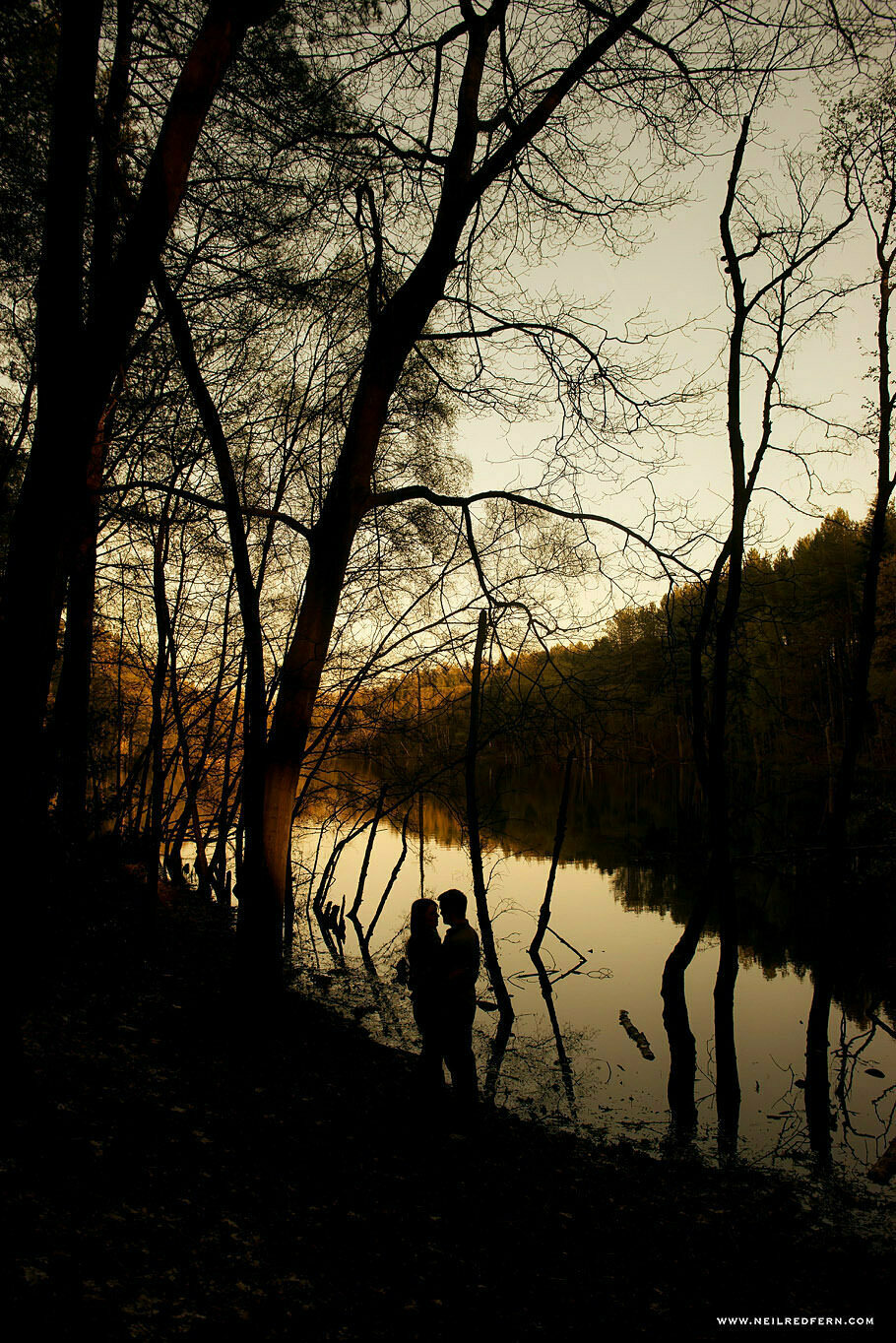 Delamere Forest Portrait Shoot 04