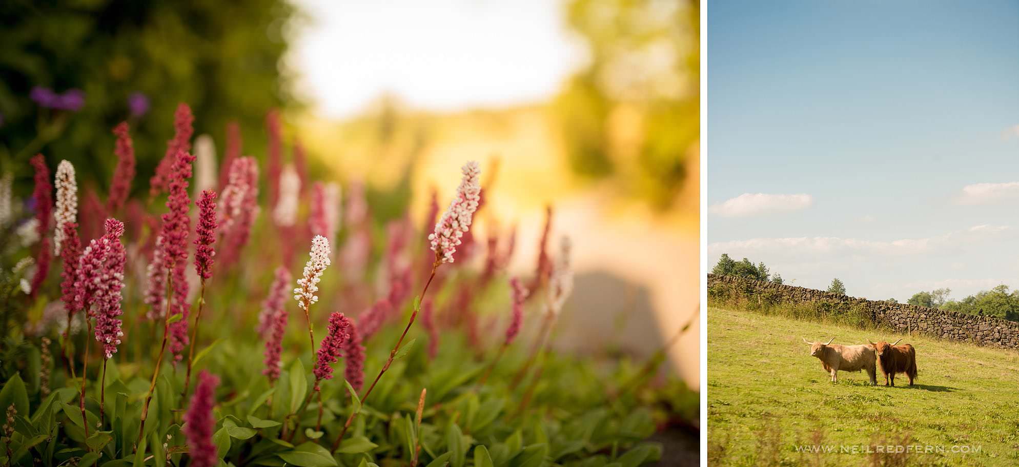 The Ashes wedding photography 41