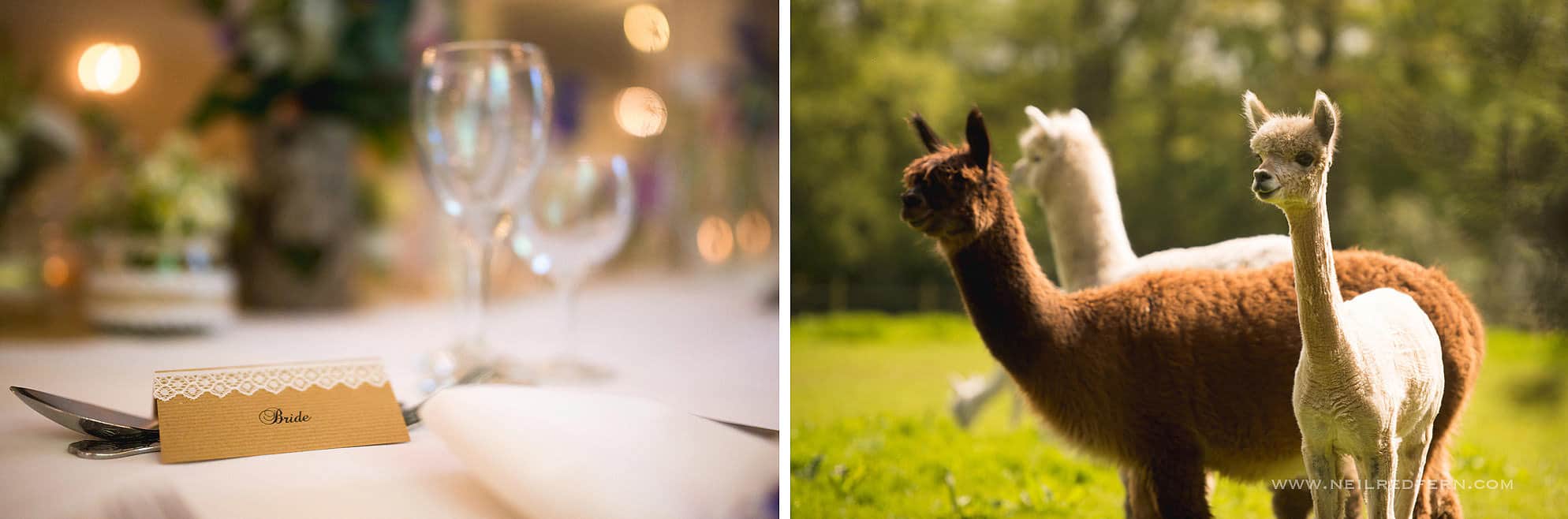 Singleton Lodge wedding photography - Jen & Adam 28 singleton lodge wedding photographs 16