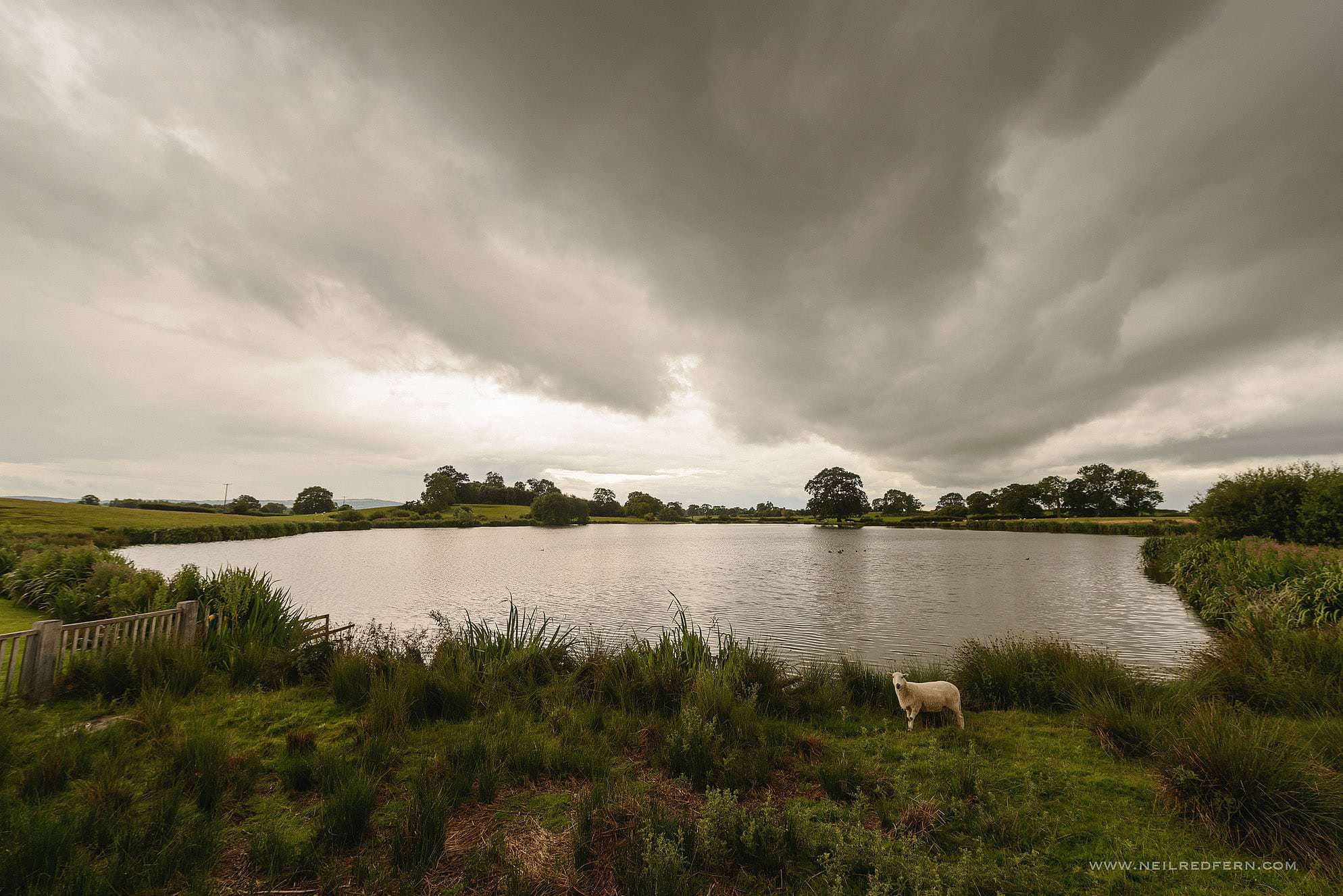 sandhole oak barn wedding photographer 29