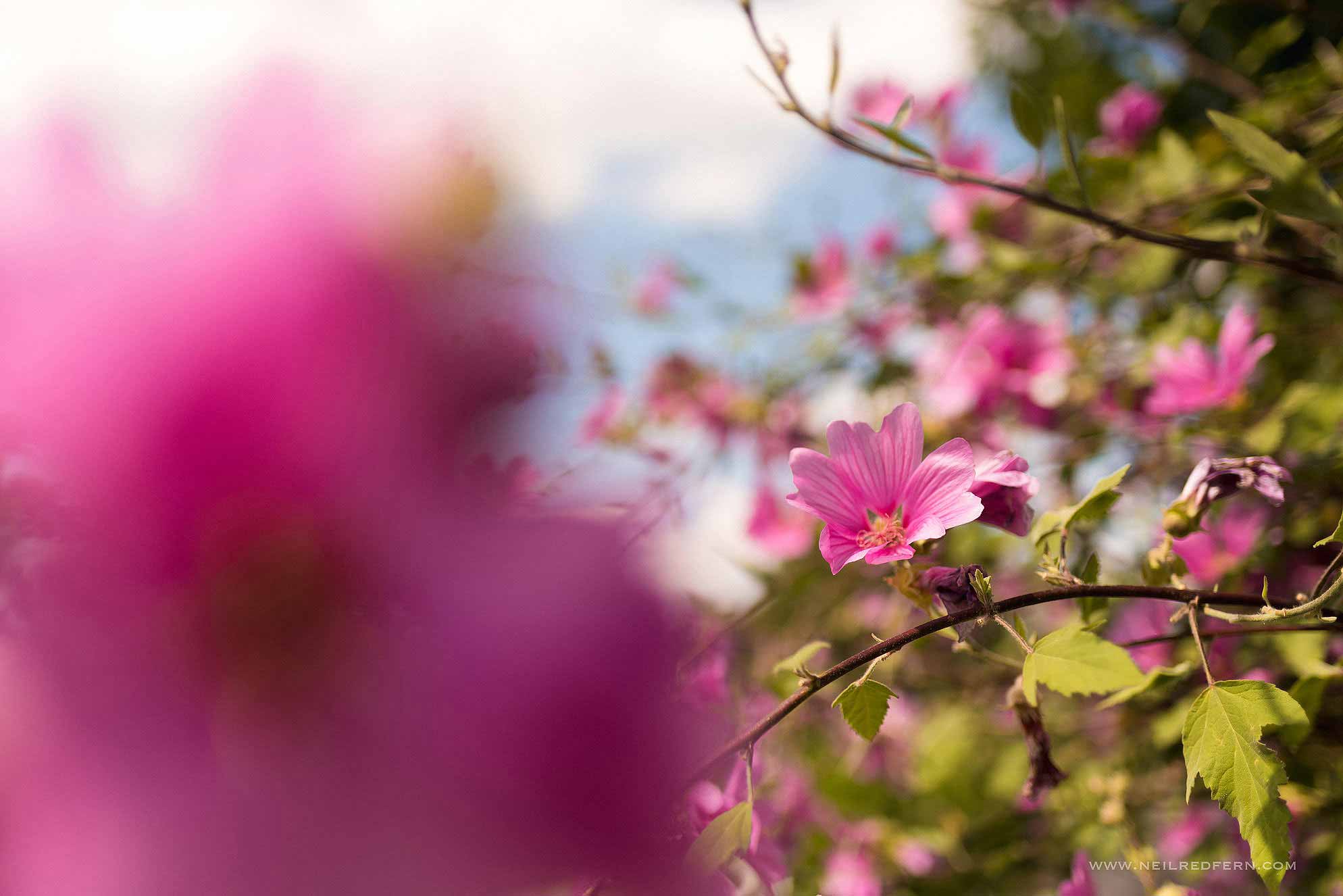 cheshire-marquee-wedding-02