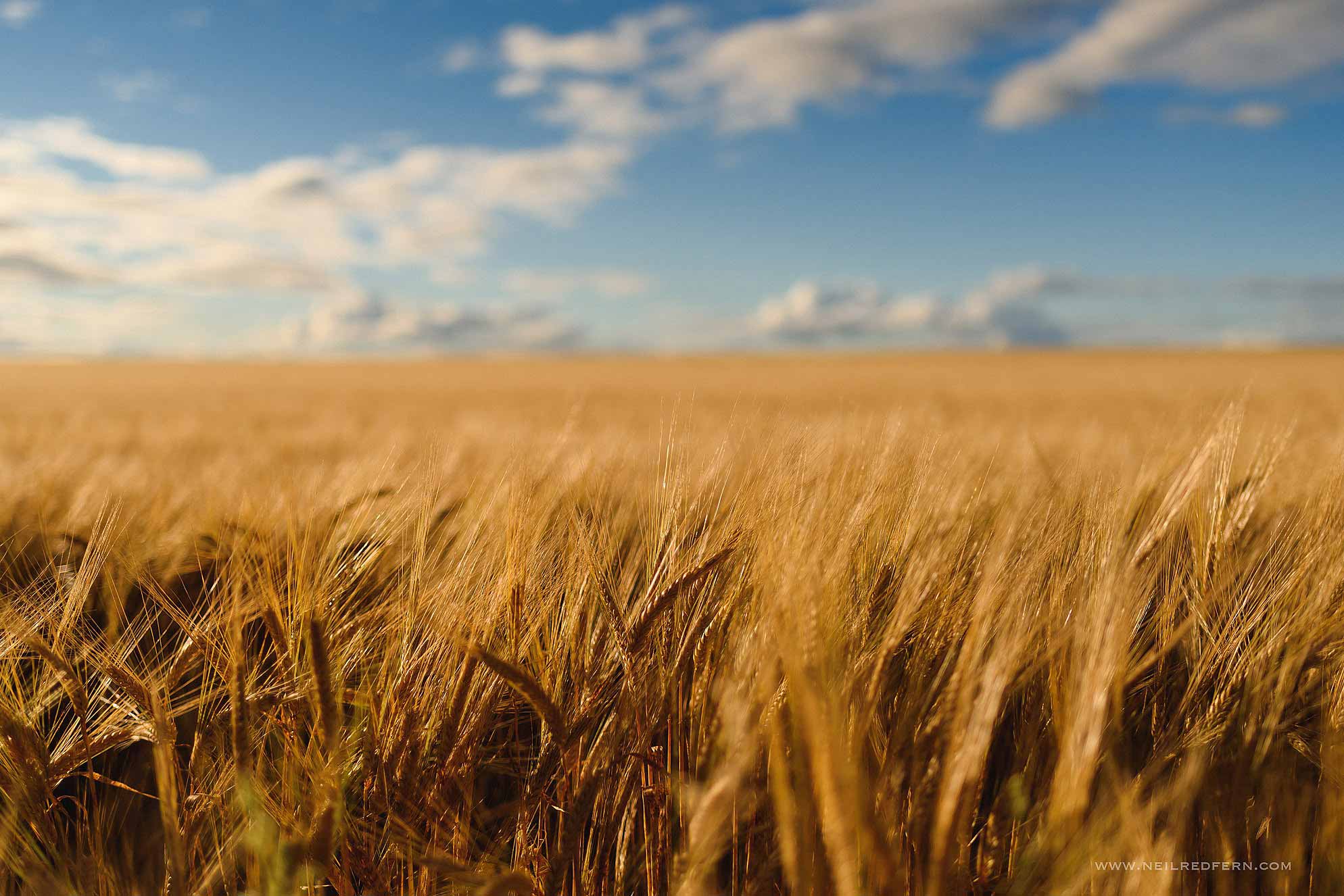 rufflets-hotel-wedding-24