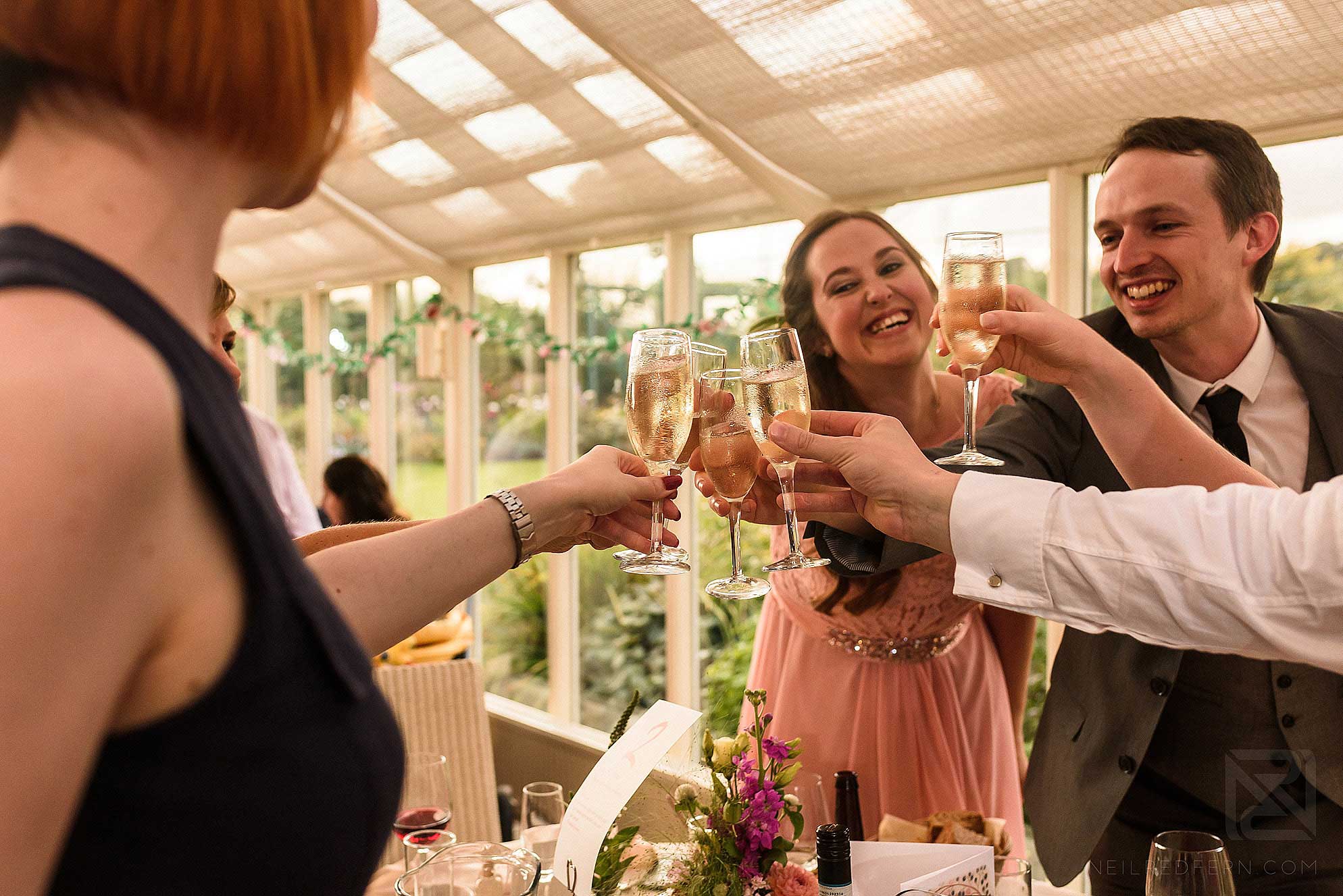 Abbeywood Estate wedding photography 28 guests clinking glasses