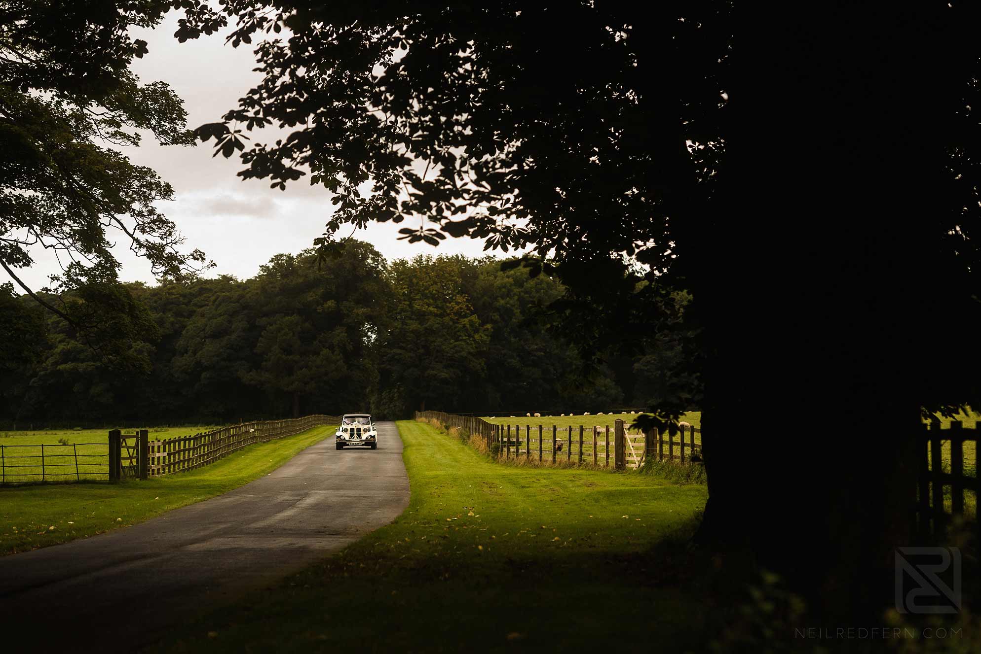 Knowsley Hall summer wedding 6 wedding car driving through knowsley