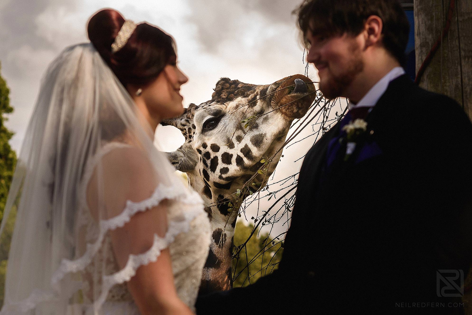 Best of 2016 81 best-wedding-photography-2016-085