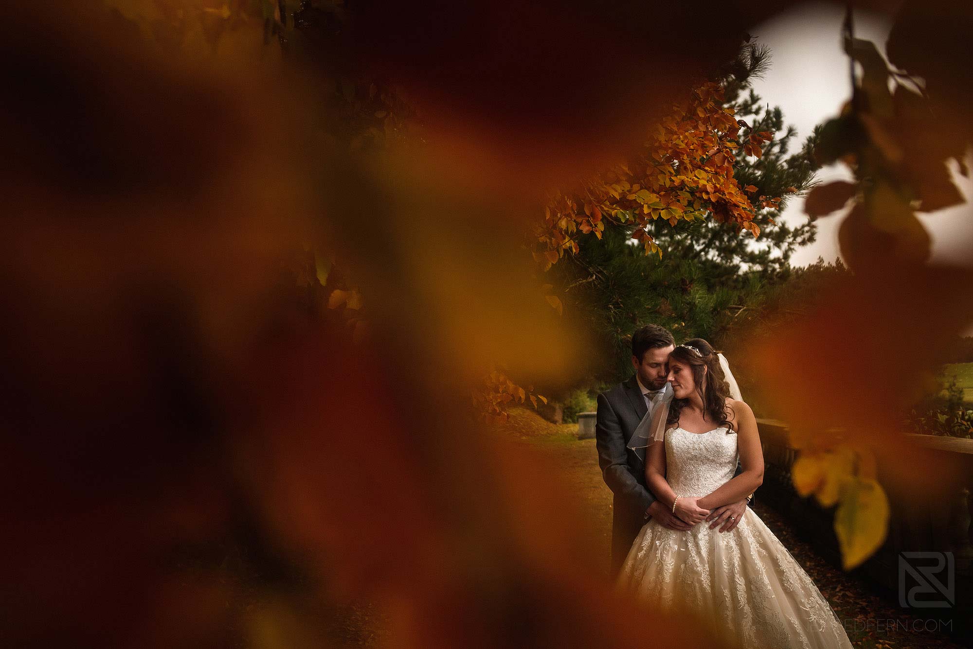 portrait of bride and groom through leaves at Knowsley Hall