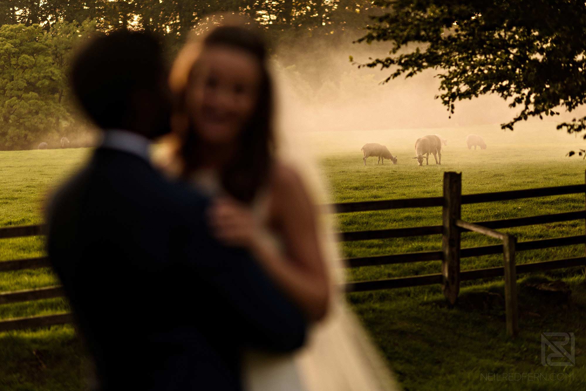 bride and groom laughing with sheep in the background