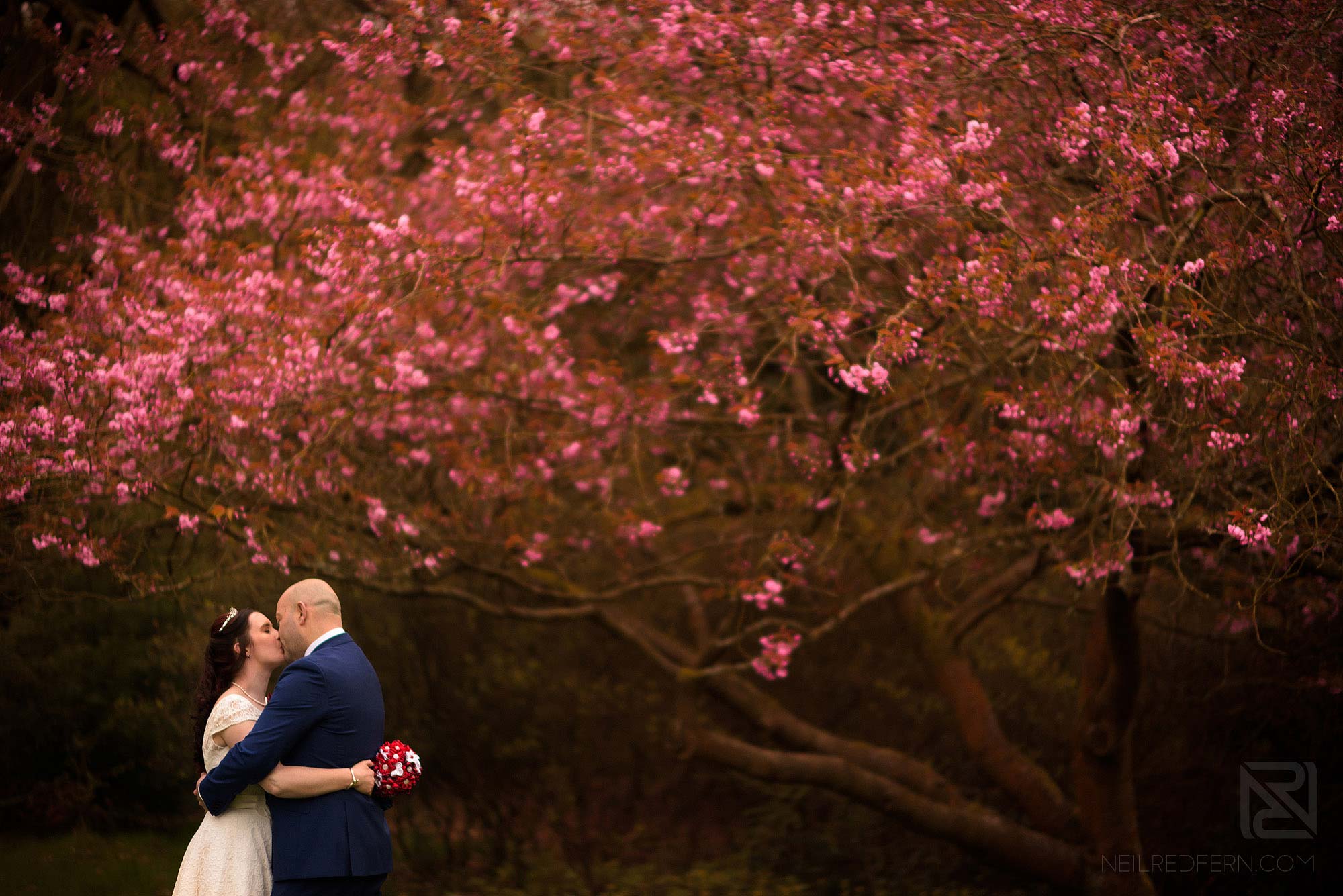 photograph of bride and groom by pink blossom tree