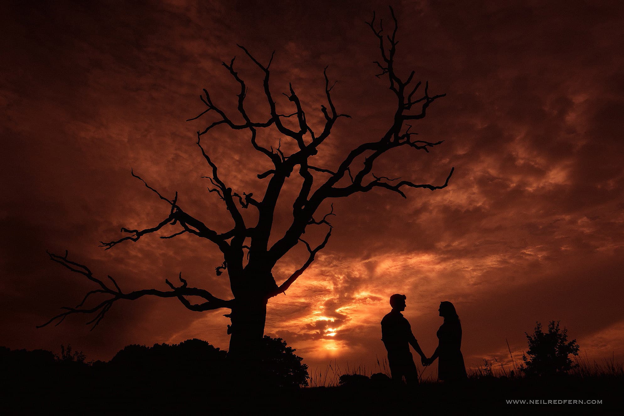 Hampstead Heath engagement shoot – Clare & Matthew