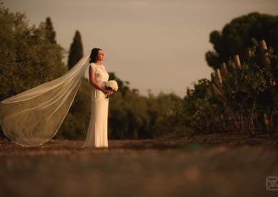 Barcelona Wedding Photography