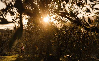 Tuscany engagement shoot – Kelly & Stu