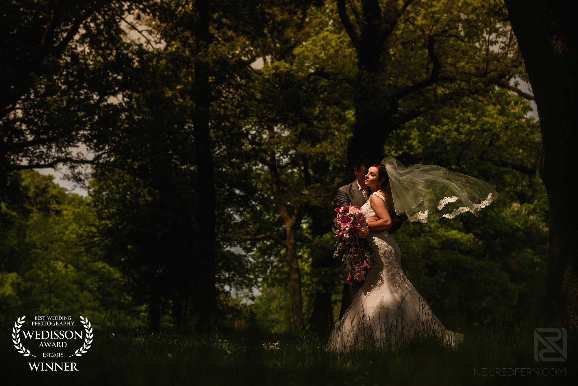 bride and groom in the forest - winner of Wedisson award