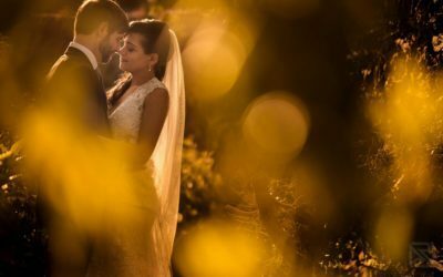 Portmeirion wedding photography