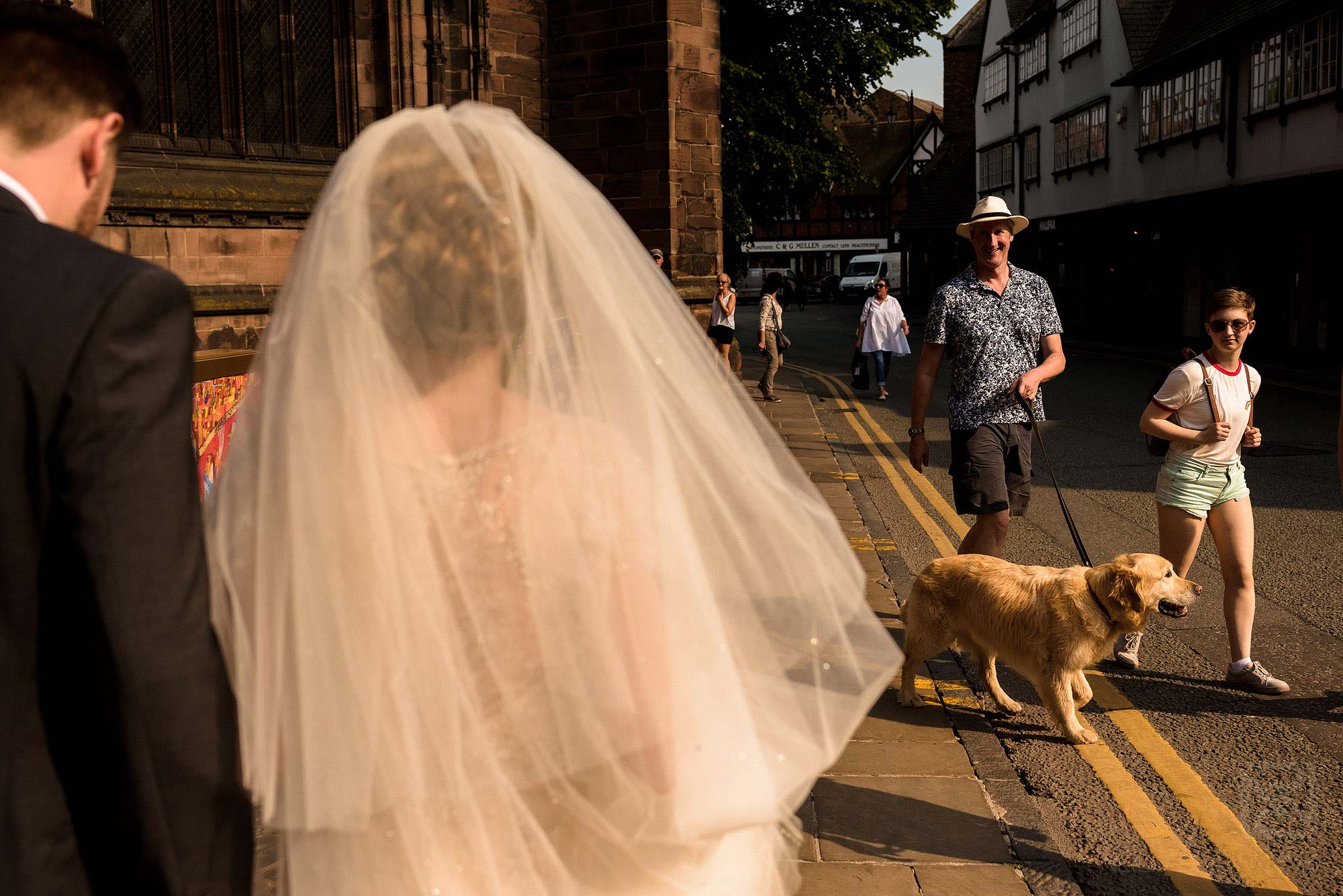 man and dog congratulating bride on wedding day