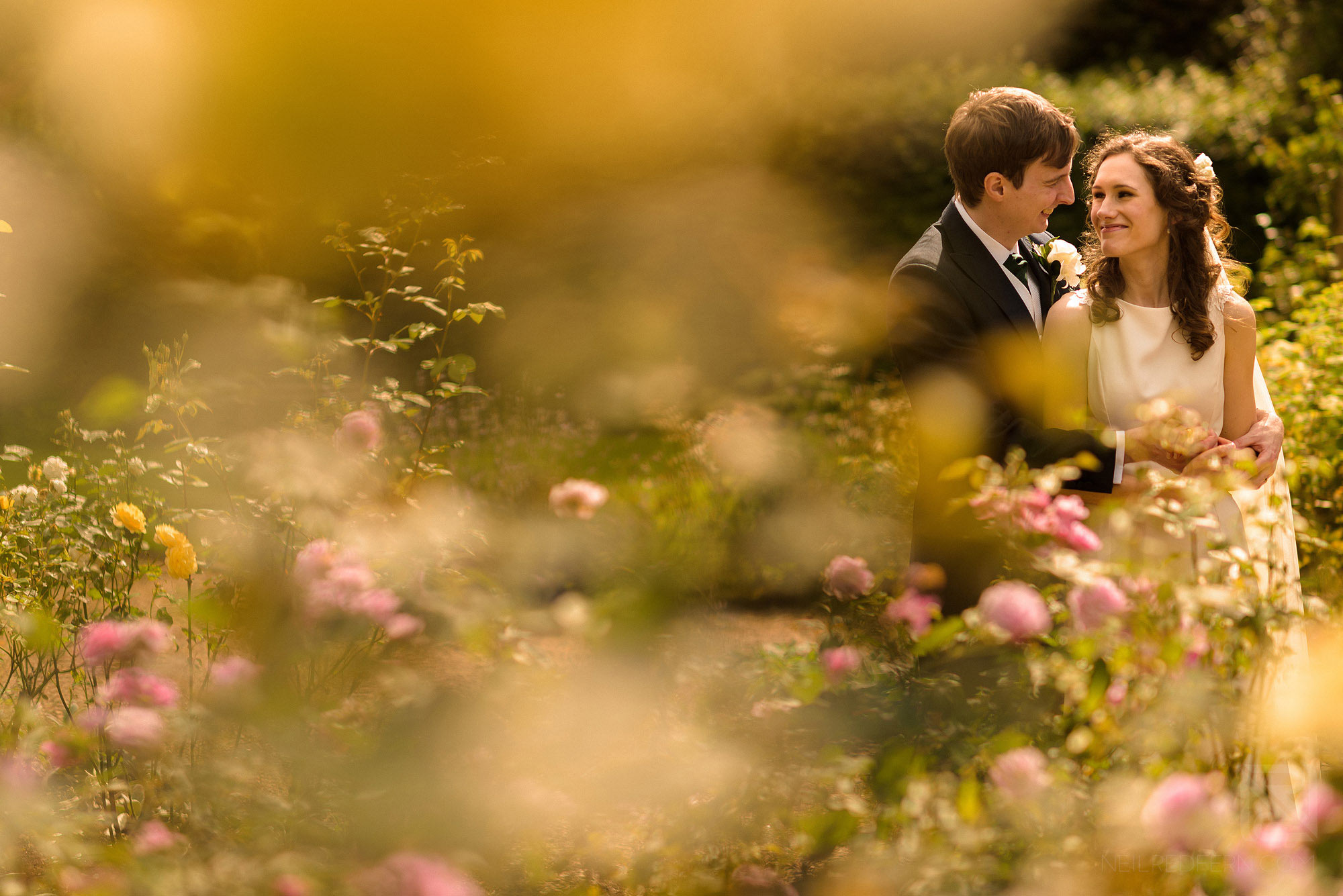 bride and groom portraits in rose garden at Adlington Hall