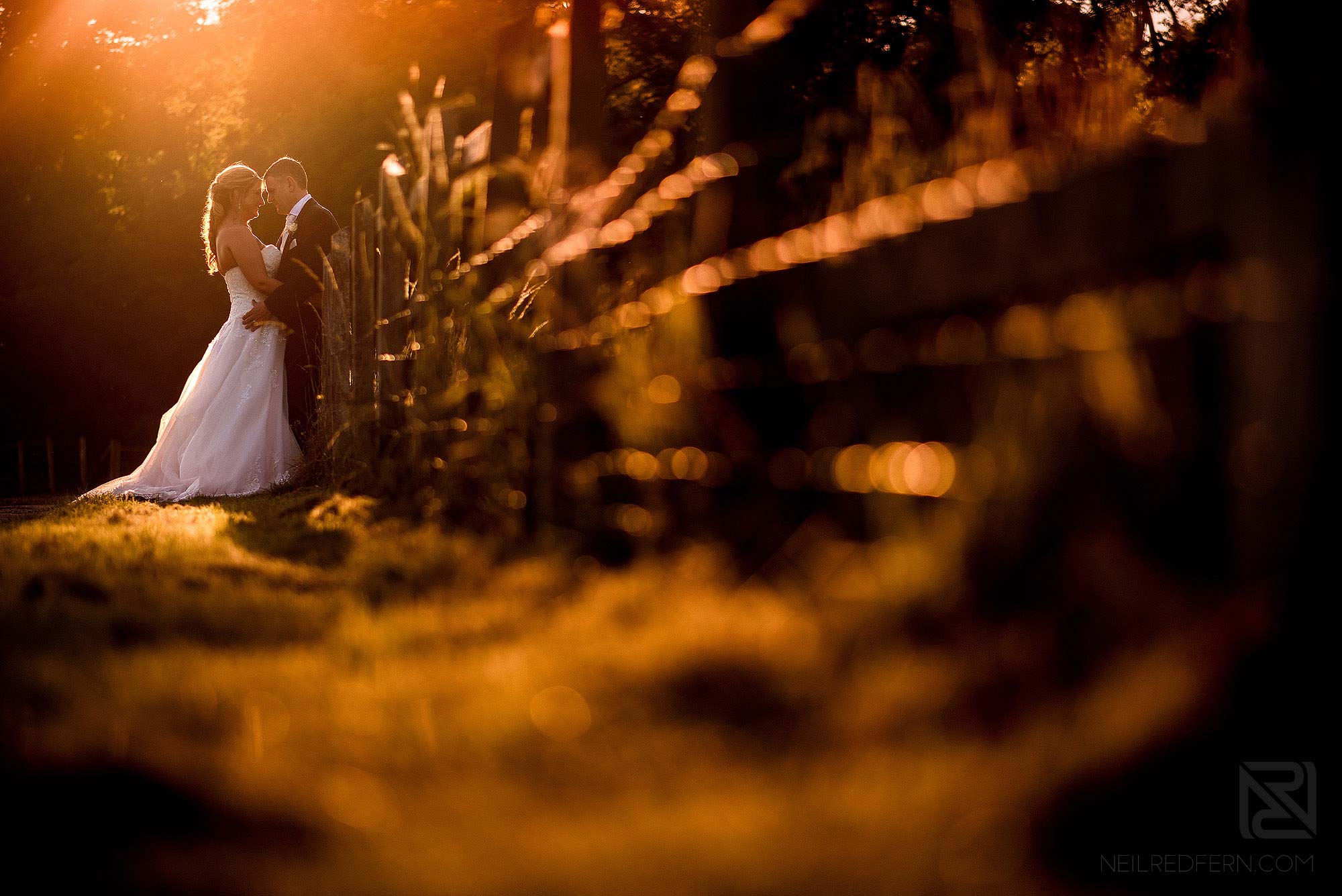 golden hour photograph of couple