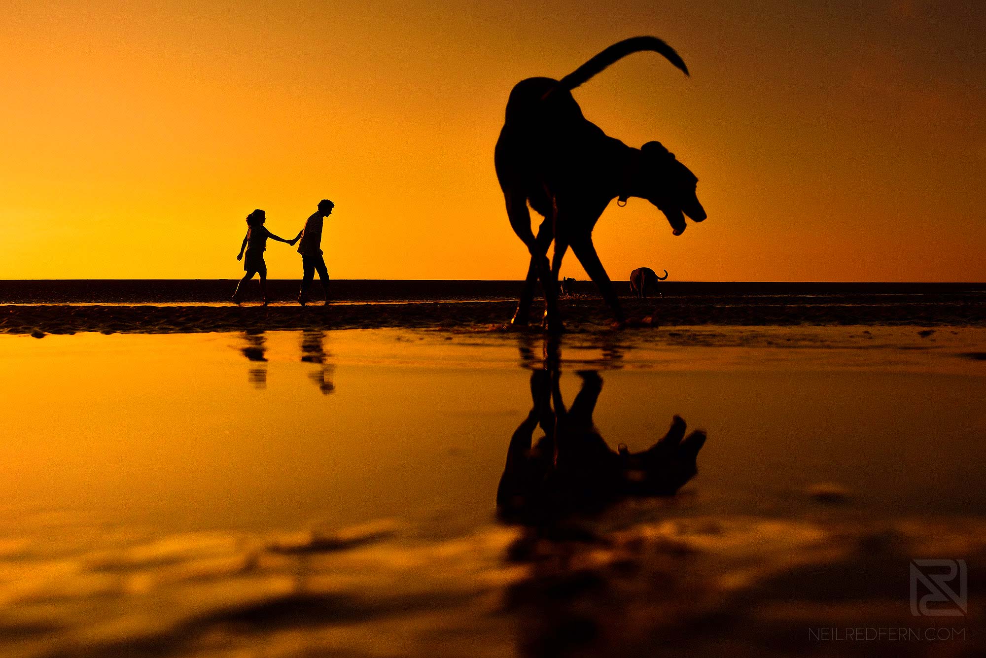 silhouette photograph of couple on Formby Beach