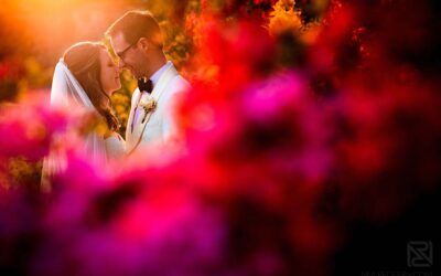 Blog 5 Summer wedding at Eaves Hall – Anna & Ben